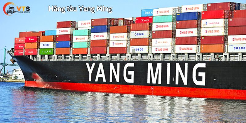 Hãng tàu Yang Ming